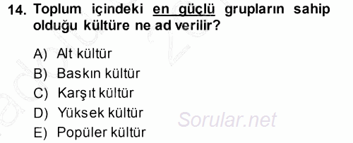 Davranış Bilimleri 1 2013 - 2014 Ara Sınavı 14.Soru