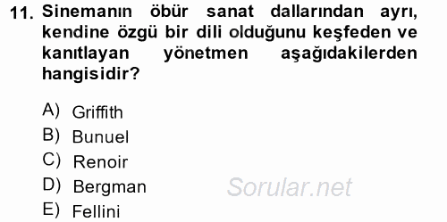 Güzel Sanatlar 2014 - 2015 Dönem Sonu Sınavı 11.Soru