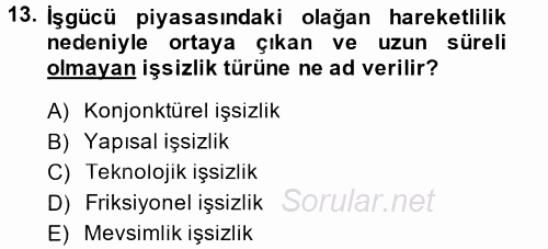 İktisada Giriş 2013 - 2014 Tek Ders Sınavı 13.Soru