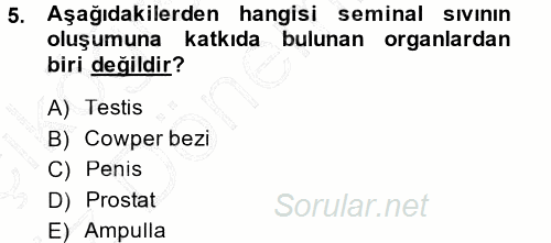 Hayvan Yetiştirme 2014 - 2015 Ara Sınavı 5.Soru