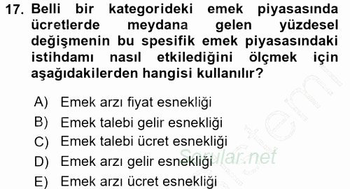 Mikro İktisat 2015 - 2016 Dönem Sonu Sınavı 17.Soru