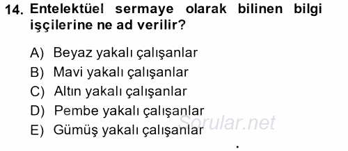 Endüstri İlişkileri 2014 - 2015 Ara Sınavı 14.Soru