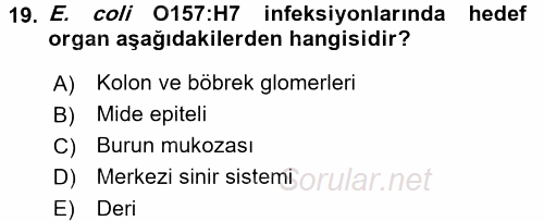 Gıda Güvenliğinin Temel Prensipleri 2016 - 2017 Ara Sınavı 19.Soru