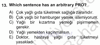 Türkçe Tümce Bilgisi Ve Anlambilim 2012 - 2013 Ara Sınavı 13.Soru