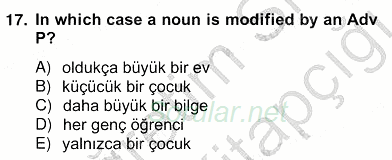 Türkçe Tümce Bilgisi Ve Anlambilim 2012 - 2013 Ara Sınavı 17.Soru