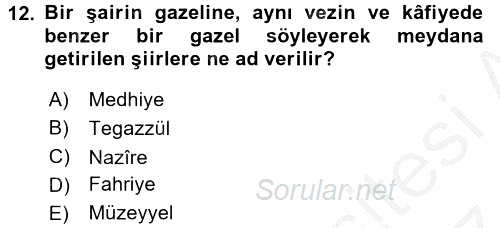 Türk İslam Edebiyatı 2016 - 2017 Ara Sınavı 12.Soru