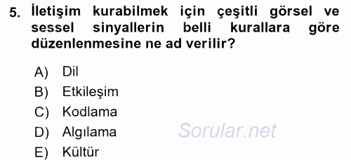 Kültürlerarası İletişim 2017 - 2018 Ara Sınavı 5.Soru