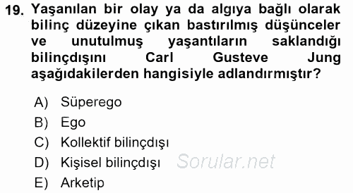 Birey ve Davranış 2016 - 2017 Ara Sınavı 19.Soru