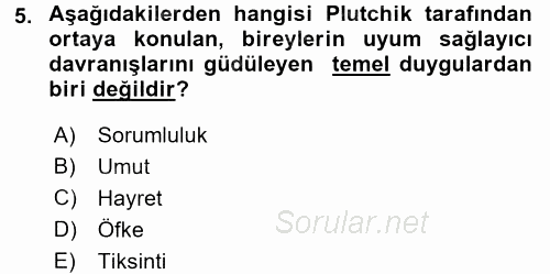 Birey ve Davranış 2016 - 2017 Ara Sınavı 5.Soru