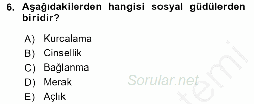 Birey ve Davranış 2016 - 2017 Ara Sınavı 6.Soru
