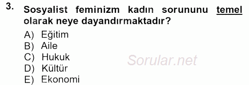 Toplumsal Yaşamda Aile 2013 - 2014 Tek Ders Sınavı 3.Soru