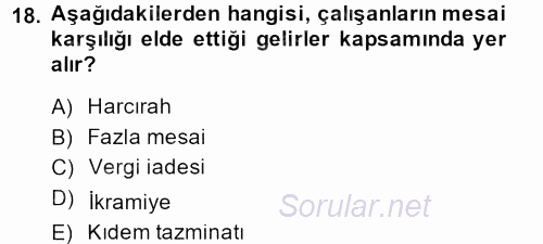 Muhasebe Yazılımları 2013 - 2014 Tek Ders Sınavı 18.Soru