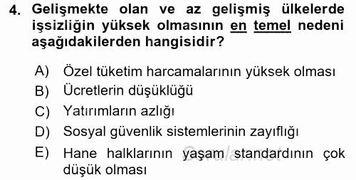Gelişmekte Olan Ülkelerde Siyaset 2017 - 2018 Ara Sınavı 4.Soru