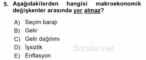 Gelişmekte Olan Ülkelerde Siyaset 2017 - 2018 Ara Sınavı 5.Soru