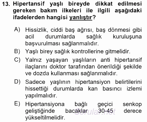 Yaşlılarda Görülebilecek Sorunlar Ve Bakım Hizmetleri 2017 - 2018 Ara Sınavı 13.Soru