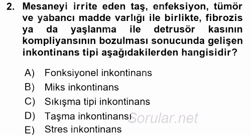 Yaşlılarda Görülebilecek Sorunlar Ve Bakım Hizmetleri 2017 - 2018 Ara Sınavı 2.Soru