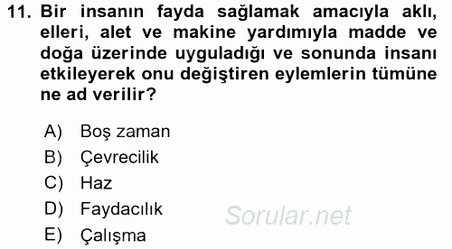 Ekonomi Sosyolojisi 2016 - 2017 Dönem Sonu Sınavı 11.Soru