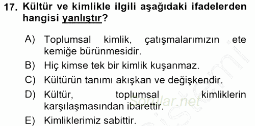 Kültür Sosyolojisi 2015 - 2016 Dönem Sonu Sınavı 17.Soru