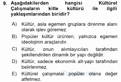 Kültür Sosyolojisi 2015 - 2016 Dönem Sonu Sınavı 9.Soru
