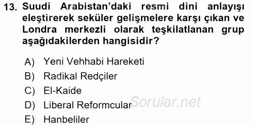 Modern Ortadoğu Tarihi 2015 - 2016 Ara Sınavı 13.Soru