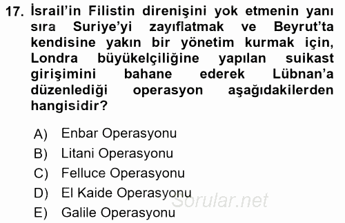 Modern Ortadoğu Tarihi 2015 - 2016 Ara Sınavı 17.Soru
