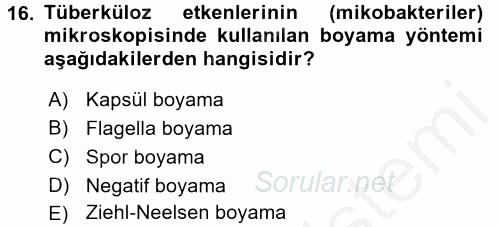 Temel Veteriner Mikrobiyoloji ve İmmünoloji 2016 - 2017 Ara Sınavı 16.Soru