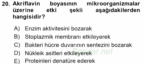 Temel Veteriner Mikrobiyoloji ve İmmünoloji 2016 - 2017 Ara Sınavı 20.Soru