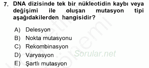 Temel Veteriner Mikrobiyoloji ve İmmünoloji 2016 - 2017 Ara Sınavı 7.Soru