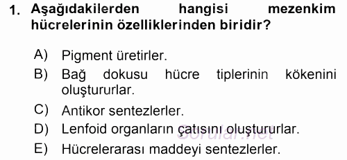 Temel Veteriner Histoloji ve Embriyoloji 2017 - 2018 3 Ders Sınavı 1.Soru