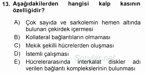 Temel Veteriner Histoloji ve Embriyoloji 2017 - 2018 3 Ders Sınavı 13.Soru