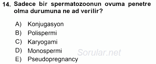 Temel Veteriner Histoloji ve Embriyoloji 2017 - 2018 3 Ders Sınavı 14.Soru