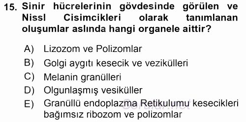 Temel Veteriner Histoloji ve Embriyoloji 2017 - 2018 3 Ders Sınavı 15.Soru
