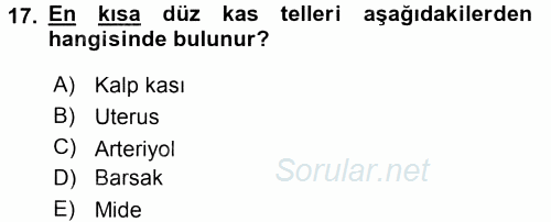 Temel Veteriner Histoloji ve Embriyoloji 2017 - 2018 3 Ders Sınavı 17.Soru