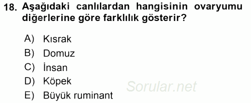 Temel Veteriner Histoloji ve Embriyoloji 2017 - 2018 3 Ders Sınavı 18.Soru