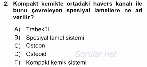 Temel Veteriner Histoloji ve Embriyoloji 2017 - 2018 3 Ders Sınavı 2.Soru