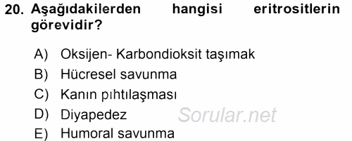 Temel Veteriner Histoloji ve Embriyoloji 2017 - 2018 3 Ders Sınavı 20.Soru