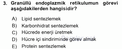 Temel Veteriner Histoloji ve Embriyoloji 2017 - 2018 3 Ders Sınavı 3.Soru