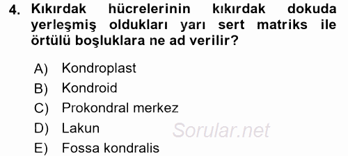 Temel Veteriner Histoloji ve Embriyoloji 2017 - 2018 3 Ders Sınavı 4.Soru