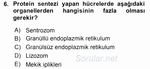 Temel Veteriner Histoloji ve Embriyoloji 2017 - 2018 3 Ders Sınavı 6.Soru