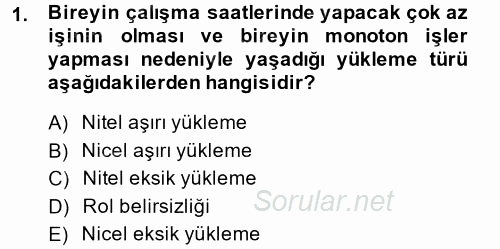 Çalışma Psikolojisi 2013 - 2014 Dönem Sonu Sınavı 1.Soru