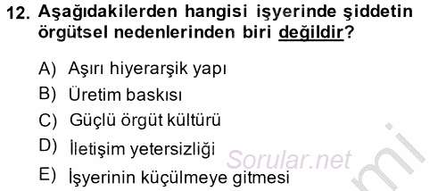 Çalışma Psikolojisi 2013 - 2014 Dönem Sonu Sınavı 12.Soru