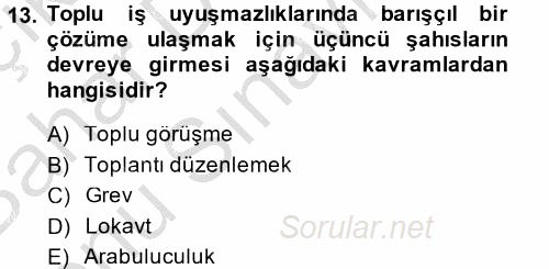 Çalışma Psikolojisi 2013 - 2014 Dönem Sonu Sınavı 13.Soru