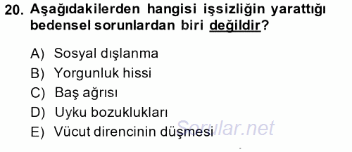 Çalışma Psikolojisi 2013 - 2014 Dönem Sonu Sınavı 20.Soru