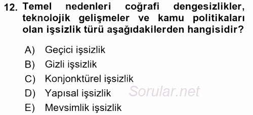 Çalışma Ekonomisi 2 2016 - 2017 Dönem Sonu Sınavı 12.Soru