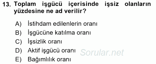 Çalışma Ekonomisi 2 2016 - 2017 Dönem Sonu Sınavı 13.Soru