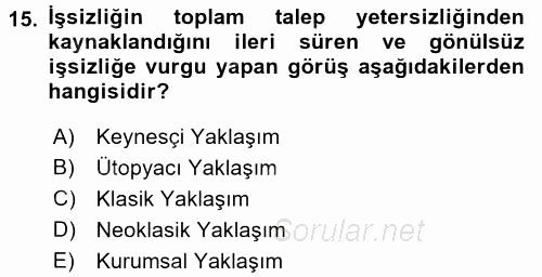 Çalışma Ekonomisi 2 2016 - 2017 Dönem Sonu Sınavı 15.Soru