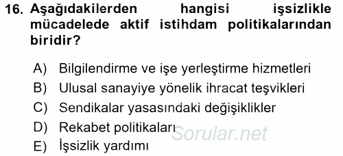 Çalışma Ekonomisi 2 2016 - 2017 Dönem Sonu Sınavı 16.Soru