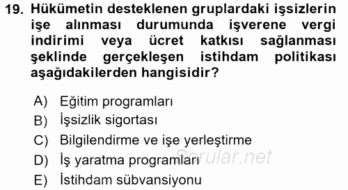 Çalışma Ekonomisi 2 2016 - 2017 Dönem Sonu Sınavı 19.Soru