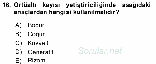 Örtü Altı Üretim Sistemleri 2015 - 2016 Dönem Sonu Sınavı 16.Soru