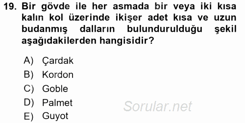Örtü Altı Üretim Sistemleri 2015 - 2016 Dönem Sonu Sınavı 19.Soru